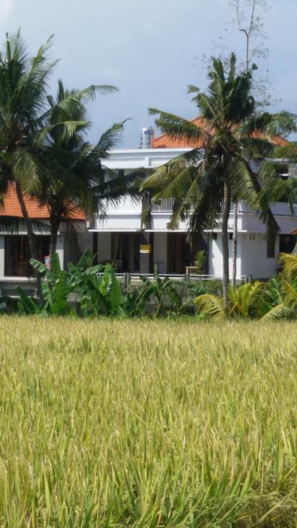 Blu Mango Hotel Ubud  Exterior photo